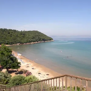 Misa Guzelcamlı